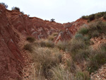 Grupo Mineralógico de Alicante. Afloramiento del Keuoer de Loma Badá. Petrer. Alicante