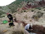 Grupo Mineralógico de Alicante. Afloramiento del Keuoer de Loma Badá. Petrer. Alicante