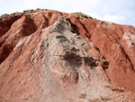 Grupo Mineralógico de Alicante. Afloramiento del Keuoer de Loma Badá. Petrer. Alicante