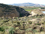 Grupo Mineralógico de Alicante. Cabezo Negro. Zeneta. Murcia