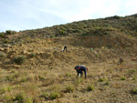 Grupo Mineralógico de Alicante. Cabezo Negro. Zeneta. Murcia