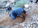 Grupo Mineralógico de Alicante. Explotación la Fuentecilla. Cabezo Polovar. Villena. Alicante