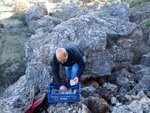 Grupo Mineralógico de Alicante.  Explotación la Fuentecilla. Cabezo Polovar. Villena. Alicante 