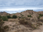 Grupo Mineralógico de Alicante. Inmediaciones camino del Acebuche. La Alcoraia. Alicantee