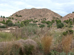 Grupo Mineralógico de Alicante. Inmediaciones camino del Acebuche. La Alcoraia. Alicantee