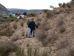 Grupo Mineralógico de Alicante.  Inmediaciones camino del Acebuche. La Alcoraia. Alicantee 