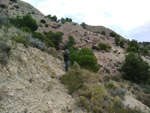 Grupo Mineralógico de Alicante. Inmediaciones camino del Acebuche. La Alcoraia. Alicantee