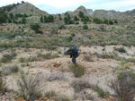 Grupo Mineralógico de Alicante. Inmediaciones camino del Acebuche. La Alcoraia. Alicantee