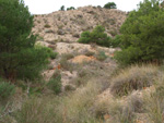 Grupo Mineralógico de Alicante. Inmediaciones camino del Acebuche. La Alcoraia. Alicantee