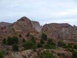 Grupo Mineralógico de Alicante. Inmediaciones camino del Acebuche. La Alcoraia. Alicantee