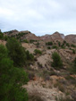 Grupo Mineralógico de Alicante. Inmediaciones camino del Acebuche. La Alcoraia. Alicantee