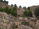 Grupo Mineralógico de Alicante. Inmediaciones camino del Acebuche. La Alcoraia. Alicantee