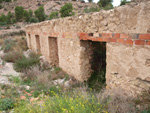 Grupo Mineralógico de Alicante. Inmediaciones camino del Acebuche. La Alcoraia. Alicantee