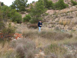 Grupo Mineralógico de Alicante. Inmediaciones camino del Acebuche. La Alcoraia. Alicantee