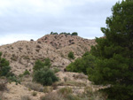 Grupo Mineralógico de Alicante. Inmediaciones camino del Acebuche. La Alcoraia. Alicantee