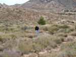 Grupo Mineralógico de Alicante. Inmediaciones camino del Acebuche. La Alcoraia. Alicantee