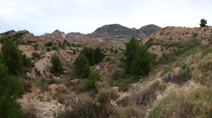 Grupo Mineralógico de Alicante. Inmediaciones camino del Acebuche. La Alcoraia. Alicantee