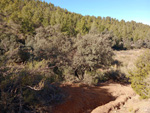 Grupo Mineralógico de Alicante. Barranco del Tormagal, La Pesquera, Cuenca