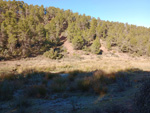 Grupo Mineralógico de Alicante. Barranco del Tormagal, La Pesquera, Cuenca