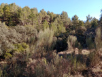 Grupo Mineralógico de Alicante. Barranco del Tormagal, La Pesquera, Cuenca