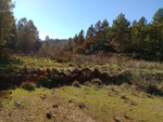 Grupo Mineralógico de Alicante. Barranco del Tormagal, La Pesquera, Cuenca