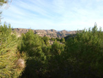 Grupo Mineralógico de Alicante. Paraje Barranco de Ojos. Aspe.  Alicante