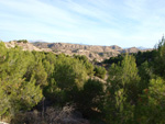 Grupo Mineralógico de Alicante. Paraje Barranco de Ojos. Aspe.  Alicante