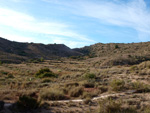 Grupo Mineralógico de Alicante. Paraje Barranco de Ojos. Aspe.  Alicante