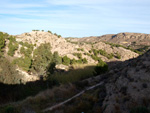 Grupo Mineralógico de Alicante. Paraje Barranco de Ojos. Aspe.  Alicante