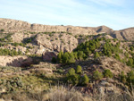 Grupo Mineralógico de Alicante. Paraje Barranco de Ojos. Aspe.  Alicante