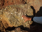 Grupo Mineralógico de Alicante.  Paraje Barranco de Ojos. Aspe.  Alicante 