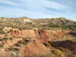 Grupo Mineralógico de Alicante. Paraje Barranco de Ojos. Aspe.  Alicante