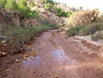 Grupo Mineralógico de Alicante. Paraje Barranco de Ojos. Aspe.  Alicante