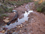 Grupo Mineralógico de Alicante. Paraje Barranco de Ojos. Aspe.  Alicante