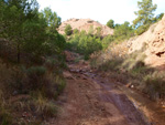 Grupo Mineralógico de Alicante. Paraje Barranco de Ojos. Aspe.  Alicante