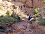 Grupo Mineralógico de Alicante. Paraje Barranco de Ojos. Aspe.  Alicante