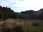 Grupo Mineralógico de Alicante. Paraje Barranco de Ojos. Aspe.  Alicante