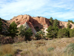 Grupo Mineralógico de Alicante. Paraje Barranco de Ojos. Aspe.  Alicante