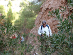 Grupo Mineralógico de Alicante. Paraje Barranco de Ojos. Aspe.  Alicante