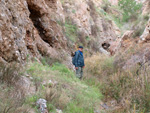 Grupo Mineralógico de Alicante. Paraje Barranco de Ojos. Aspe.  Alicante