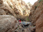 Grupo Mineralógico de Alicante. Paraje Barranco de Ojos. Aspe.  Alicante