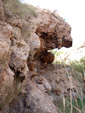 Grupo Mineralógico de Alicante. Paraje Barranco de Ojos. Aspe.  Alicante