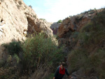 Grupo Mineralógico de Alicante. Paraje Barranco de Ojos. Aspe.  Alicante