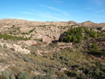 Grupo Mineralógico de Alicante. Paraje Barranco de Ojos. Aspe.  Alicante