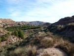 Grupo Mineralógico de Alicante. Paraje Barranco de Ojos. Aspe.  Alicante