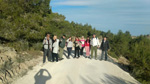 Grupo Mineralógico de Alicante. Paraje Barranco de Ojos. Aspe.  Alicante