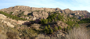 Grupo Mineralógico de Alicante. Paraje Barranco de Ojos. Aspe.  Alicante