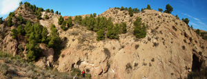 Grupo Mineralógico de Alicante. Paraje Barranco de Ojos. Aspe.  Alicante