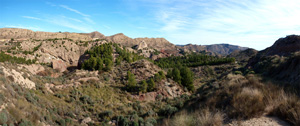 Grupo Mineralógico de Alicante. Paraje Barranco de Ojos. Aspe.  Alicante