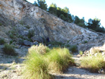 Grupo Mineralógico de Alicante. Cabezo Polovar. Villena.  Alicante